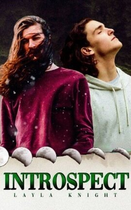 Introspect [The Mating Games #3] cover - Read free novel on NovelFlow