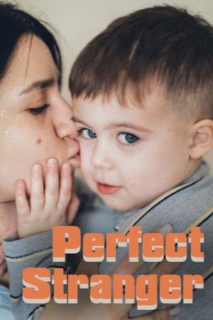Perfect Stranger cover