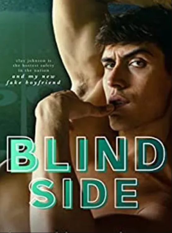 Blind Side: A Fake Dating Sports Romance (Red Zone Rivals) - Free online novel on NovelFlow Blind Side: A Fake Dating Sports Romance (Red Zone Rivals) cover - Read free novel on NovelFlow