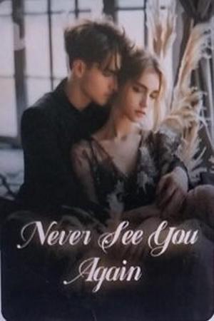 Never See You Again - Free online novel on NovelFlow Never See You Again cover - Read free novel on NovelFlow