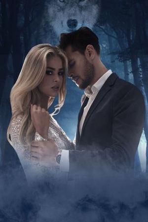 The Omega Mated To The Four - Free online novel on NovelFlow The Omega Mated To The Four cover - Read free novel on NovelFlow