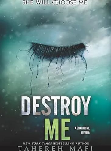 Destroy Me (Shatter Me Book 1.5) - Free online novel on NovelFlow Destroy Me (Shatter Me Book 1.5) cover - Read free novel on NovelFlow