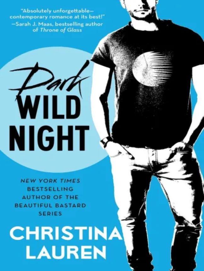 Dark Wild Night - Free online novel on NovelFlow Dark Wild Night cover - Read free novel on NovelFlow