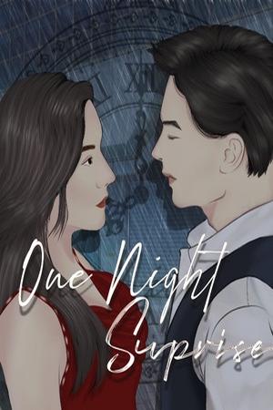 One Night Surprise Novel - Free online novel on NovelFlow One Night Surprise Novel cover - Read free novel on NovelFlow