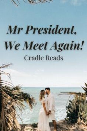 Mr President, We Meet Again! cover