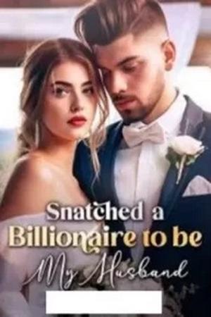Snatched A Billionaire To Be My Husband by Shabi's pen - Free online novel on NovelFlow Snatched A Billionaire To Be My Husband by Shabi's pen cover - Read free novel on NovelFlow