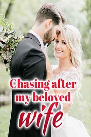 Chasing After My Beloved Wife cover - Read free novel on NovelFlow