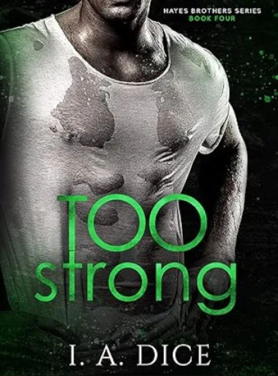 Too Strong: Hayes Brothers Book 4 - Free online novel on NovelFlow Too Strong: Hayes Brothers Book 4 cover - Read free novel on NovelFlow