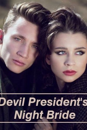 Devil President's Night Bride cover