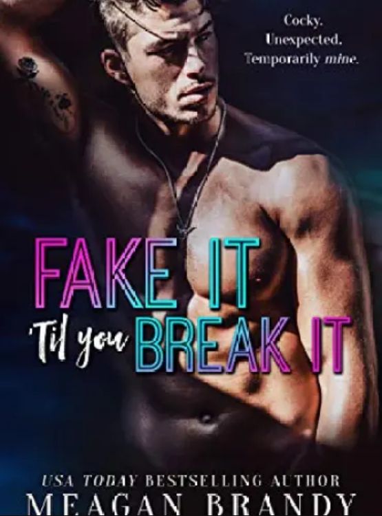 Fake It ‘Til You Break It cover