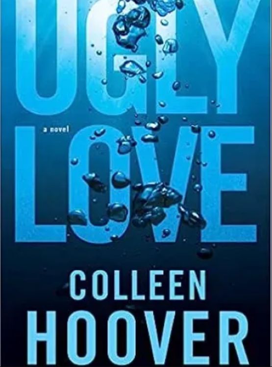 Ugly Love: A Novel cover - Read free novel on NovelFlow