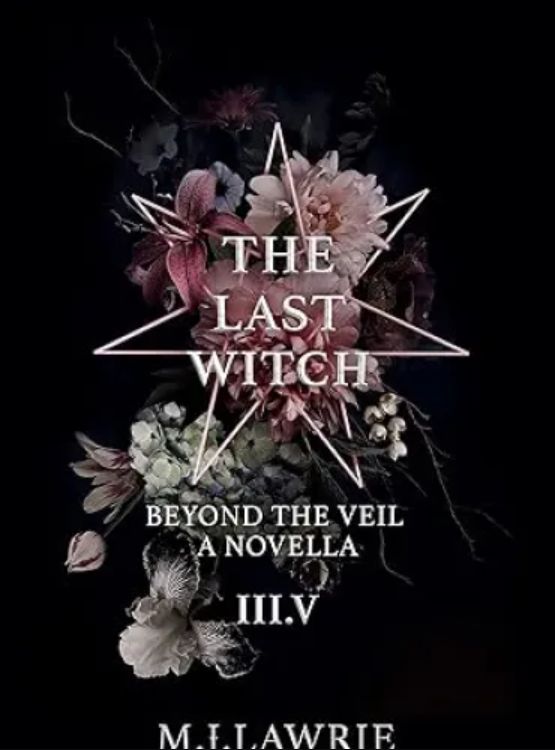 The Last Witch: 3.5: Beyond The Veil. A Novella - Free online novel on NovelFlow The Last Witch: 3.5: Beyond The Veil. A Novella cover - Read free novel on NovelFlow