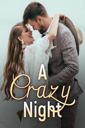 A Crazy Night Novel - Free online novel on NovelFlow A Crazy Night Novel cover - Read free novel on NovelFlow