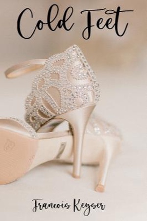 Cold Feet - Free online novel on NovelFlow Cold Feet cover - Read free novel on NovelFlow