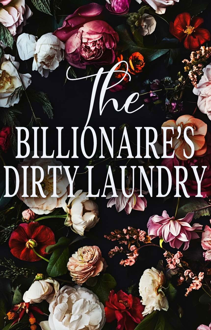 The Billionaire's Dirty Laundry - Free online novel on NovelFlow The Billionaire's Dirty Laundry cover - Read free novel on NovelFlow