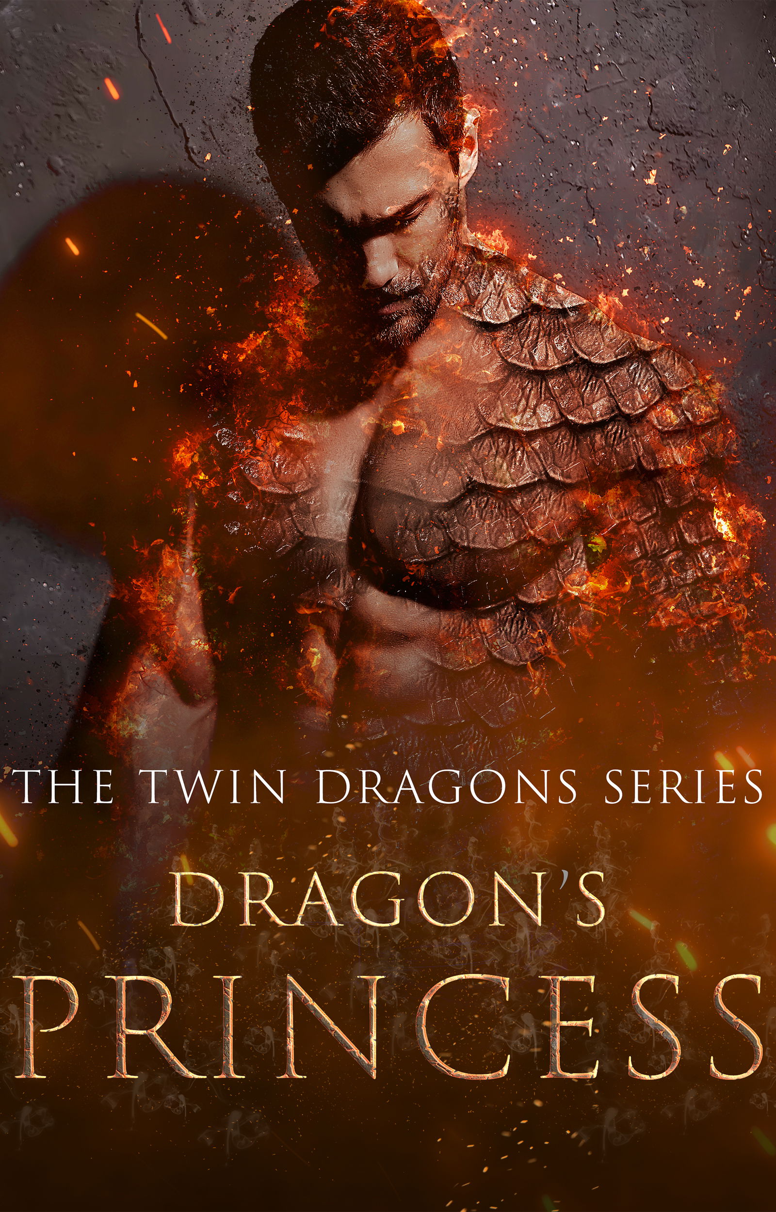 The Twin Dragons Series: Dragon's Princess cover