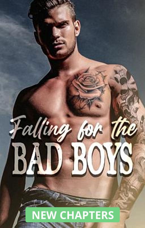 Falling For The Bad Boys - Free online novel on NovelFlow Falling For The Bad Boys cover - Read free novel on NovelFlow