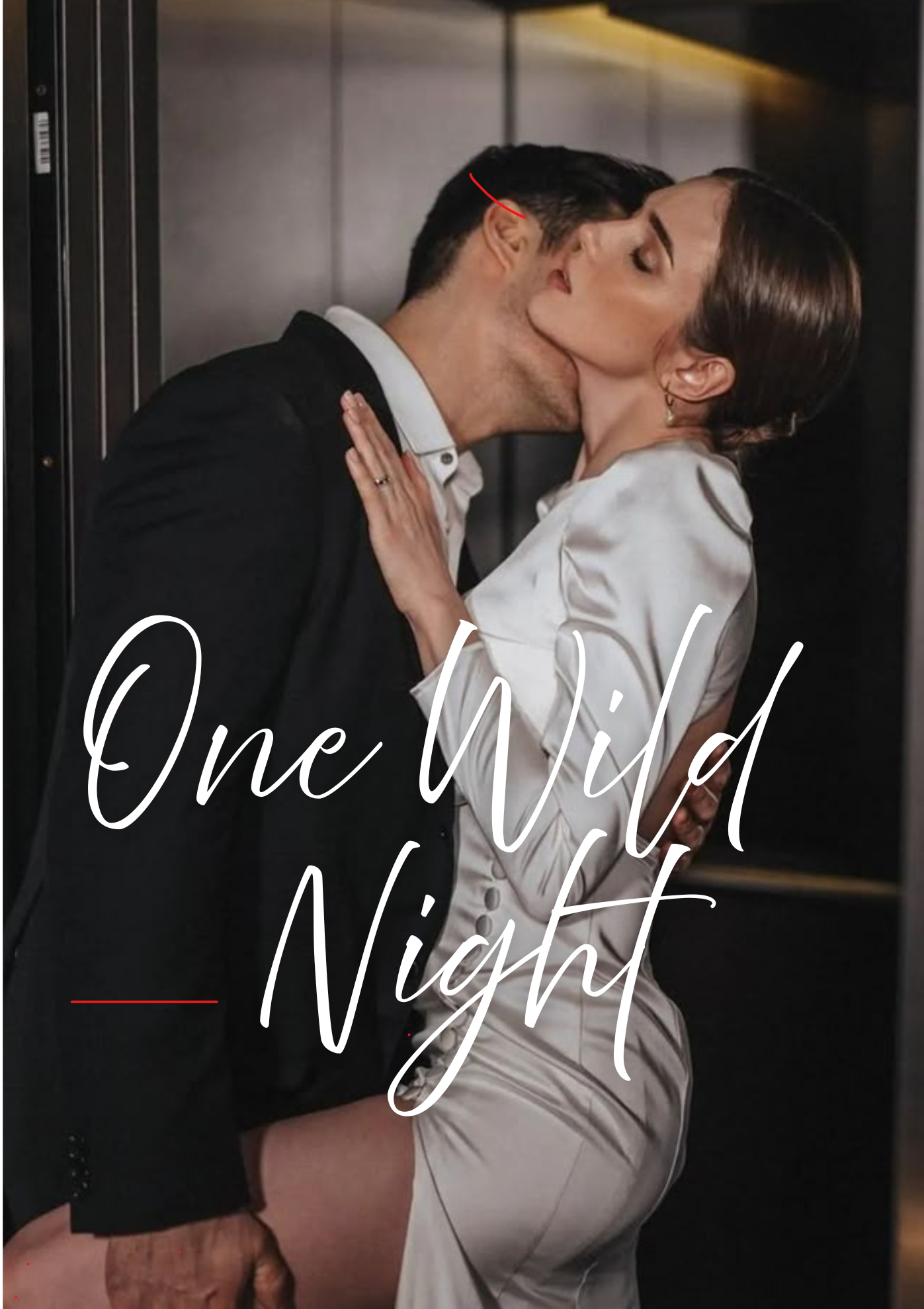 One Wild Night - Free online novel on NovelFlow One Wild Night cover - Read free novel on NovelFlow
